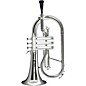 Cool Wind CFG-200 Metallic Series Plastic Bb Flugelhorn Silver thumbnail