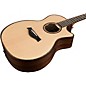 Clearance Taylor 914ce V-Class Grand Auditorium Acoustic-Electric Guitar Natural