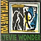 Stevie Wonder - Gotta Have You (3 Mixes +) thumbnail