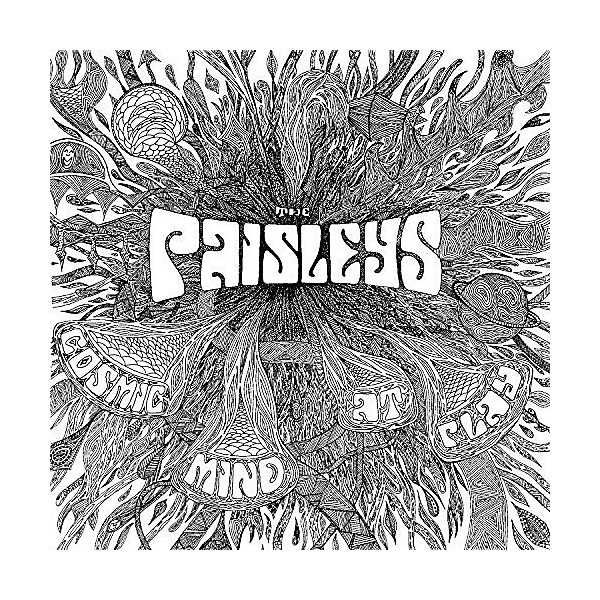 The Paisley - Cosmic Mind at Play