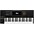 Native Instruments Kontrol S49 MK3 49-Key MIDI Keyboard Controller 