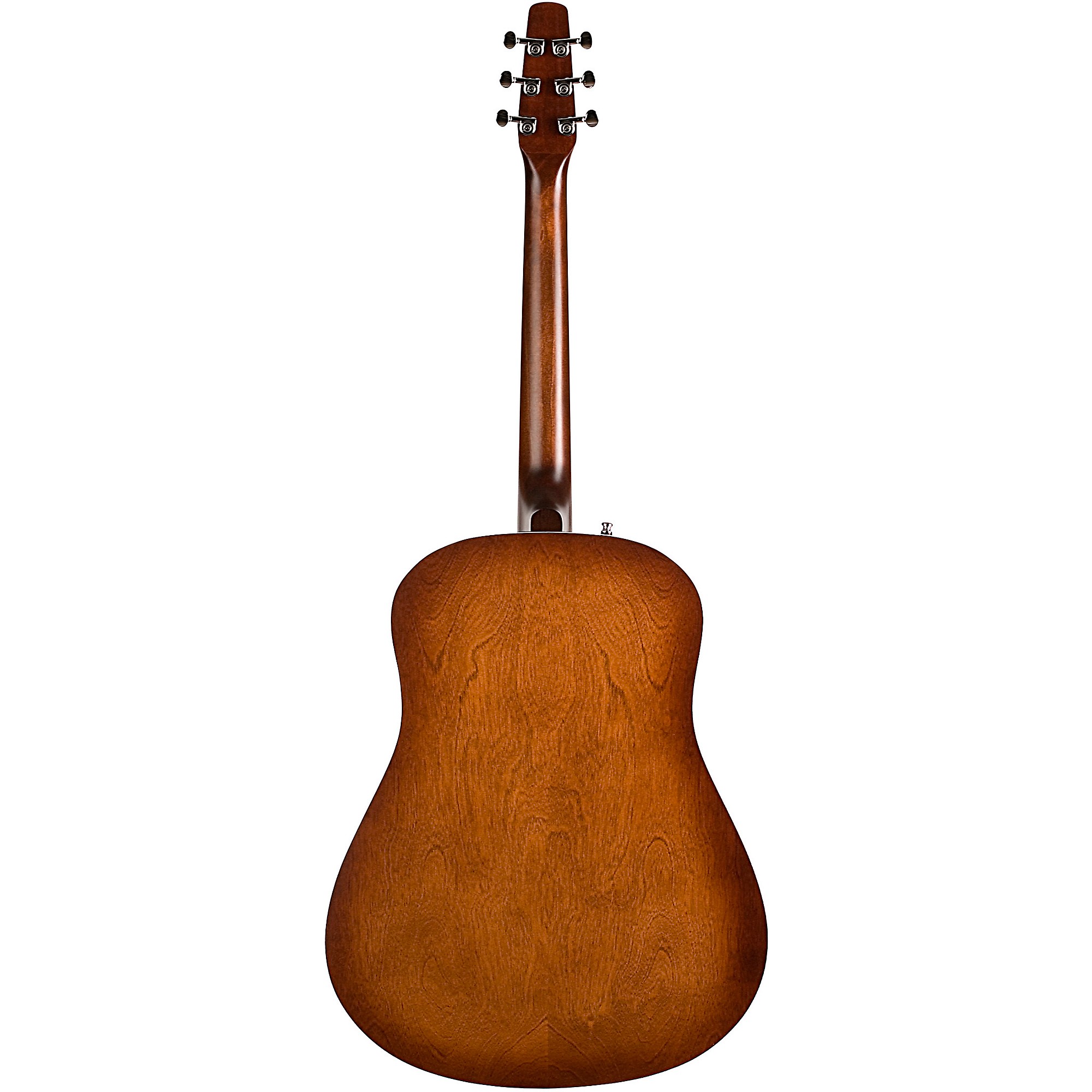 seagull シーガル ENTOURAGE AUTUMN BURST アコースティック