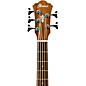 Open Box Ibanez AEB105E Acoustic-Electric 5-String Bass Level 1 Gloss Natural