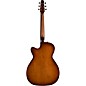 Open Box Seagull Entourage Autumn Burst CH CW Acoustic-Electric Guitar Level 1 Autumn Burst