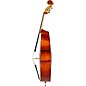 Strobel MB-300 Recital Series Double Bass Outfit 1/4