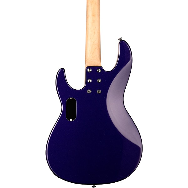 ESP LTD AP-204 Electric Bass Guitar Purple Metallic Black Pickguard