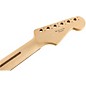 Fender Standard Series Left Handed Stratocaster Neck with Pau Ferro Fingerboard