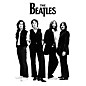 Hal Leonard The Beatles - White Album Group Shot - Wall Poster thumbnail