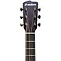 Breedlove Discovery Dreadnought with Spruce Top Sunburst Acoustic Guitar Gloss Sunburst