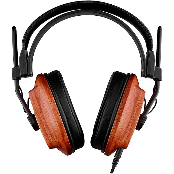 Fostex T60RP 安価