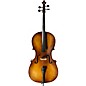 Strobel MC-80 Student Series 1/2 Size Cello Outfit thumbnail