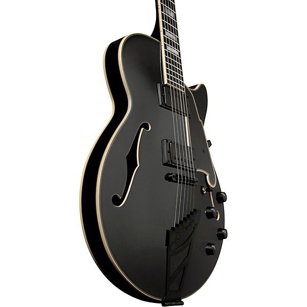 Open Box D'Angelico Excel Series EX-SS Semi-Hollowbody Electric Guitar with Black Hardware Level 2 Black 190839643766