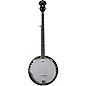 Washburn B9-WSH-A Americana 5-String Resonator Banjo thumbnail