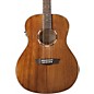 Washburn WL012SE Woodline 10 Series Acoustic-Electric Guitar thumbnail