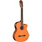 Washburn C5CE Classical Acoustic-Electric Guitar
