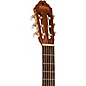 Washburn C5CE Classical Acoustic-Electric Guitar