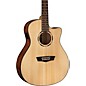 Washburn WLO10SCE Woodline 10 Series Acoustic-Electric Guitar thumbnail