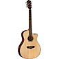 Washburn WLO10SCE Woodline 10 Series Acoustic-Electric Guitar