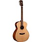 Washburn Comfort WCG10SENS Acoustic-Electric guitar