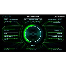 Zynaptiq WORMHOLE