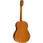 Open Box Washburn Revival Series Solo Dreadnought 135th Anniversary Acoustic Guitar Level 1