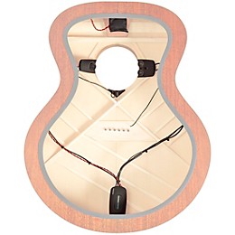 Fishman Matrix Infinity Mic Blend with Narrow Split Pickup Narrow Split