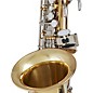 Open Box Blessing BAS-1287 Standard Series Eb Alto Saxophone Level 2 Lacquer 194744306310