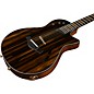 Taylor Custom T5z #10794 African Ebony Acoustic-Electric Guitar Natural