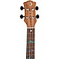 Luna High Tide Exotic Mahogany Tenor Ukulele High Tide