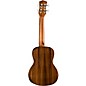 Luna Concert Ukulele Flamed Acacia Flamed Acacia