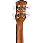 Luna Concert Ukulele Flamed Acacia Flamed Acacia