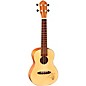 Ortega RU5 Bonfire Series Concert Ukulele Natural thumbnail