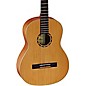 Ortega Family R122SN Classical Guitar Natural Matte thumbnail