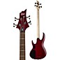Open Box ESP LTD B-204FM 4-String Bass Level 1 See-Thru Red