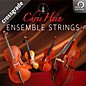 Best Service Chris Hein Ensemble Strings Crossgrade thumbnail