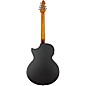 Schecter Guitar Research DJ Ashba Signature Acoustic Guitar Carbon Grey
