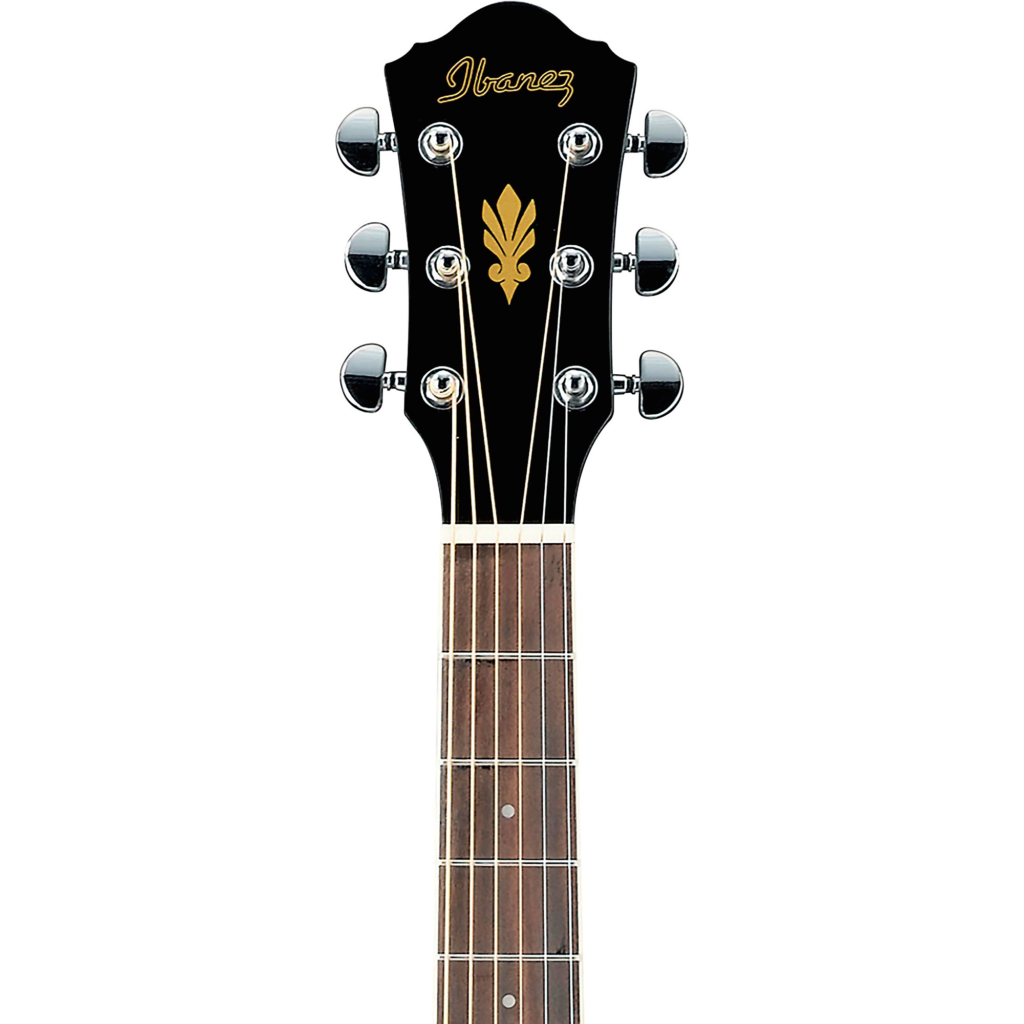 ギター Ibanez AEG8E Ibanez AEG8ETBS