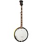 Washburn B10-A Americana 5-String Resonator Banjo thumbnail
