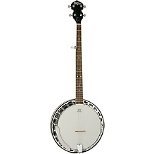 バンジョー washburn B-9 Washburn Guitars
