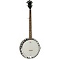 Washburn B11K-A Americana Series 5-String Resonator Banjo thumbnail