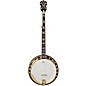 Washburn B17K-D Americana Series 5-String Resonator Banjo thumbnail