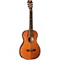 Washburn R314KK Revival Parlor Acoustic Guitar