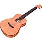 Cordoba Mini II FMH Acoustic Guitar Natural
