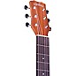 Open Box Cordoba Mini II MH Acoustic Guitar Level 1 Natural