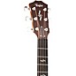 Taylor 414ce-R V-Class Grand Auditorium Acoustic-Electric Guitar Natural