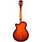 Washburn EA15 Festival Series Acoustic-Electric Guitar Iced Tea Burst