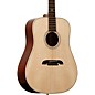 Alvarez Yairi DYM60HD Masterworks Dreadnought Adirondack Acoustic Guitar Natural thumbnail