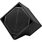 BASSBOSS DiaMon 112 12" 2-Way Powered MicroMain thumbnail