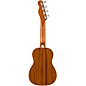 Open Box Fender Zuma Concert Ukulele Walnut Fingerboard Level 2 Lake Placid Blue 194744807176