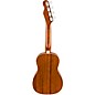 Fender Zuma Concert Ukulele Walnut Fingerboard Burgundy Mist